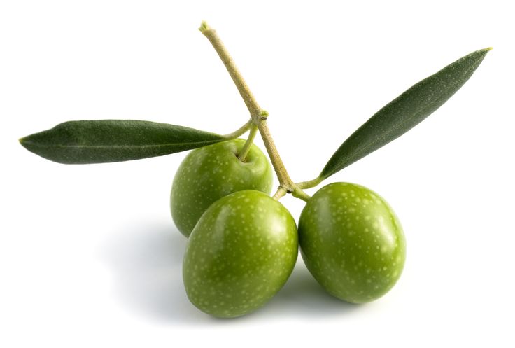 Olive Squalene